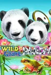 wild-giant-panda